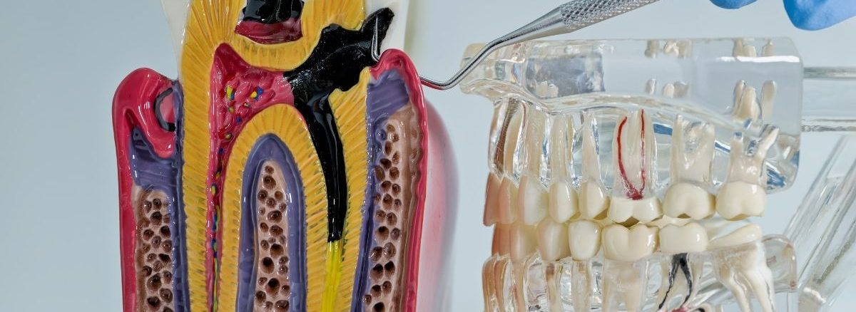 kanal-tedavisi-fiyatlari-2026